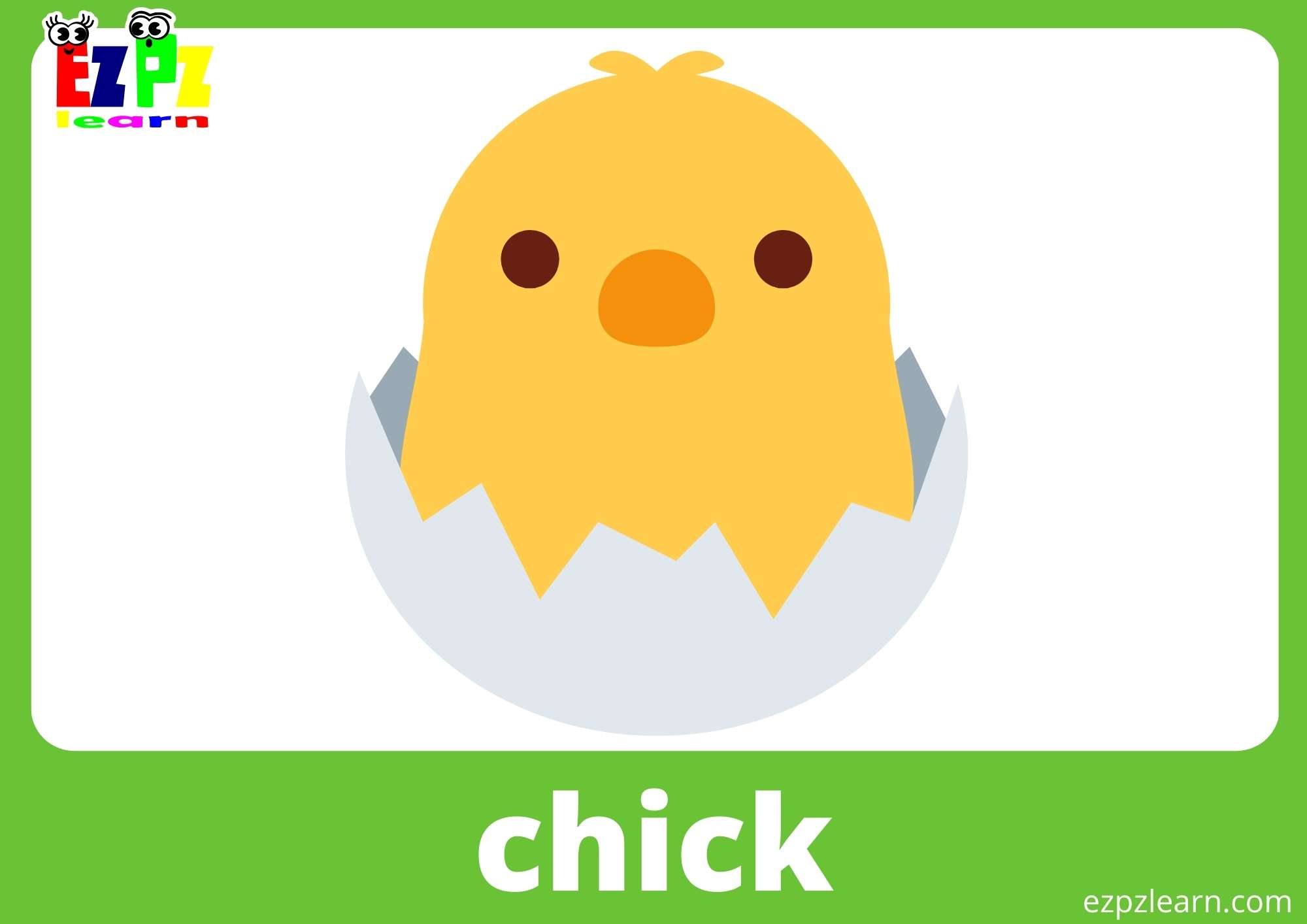 Chick 